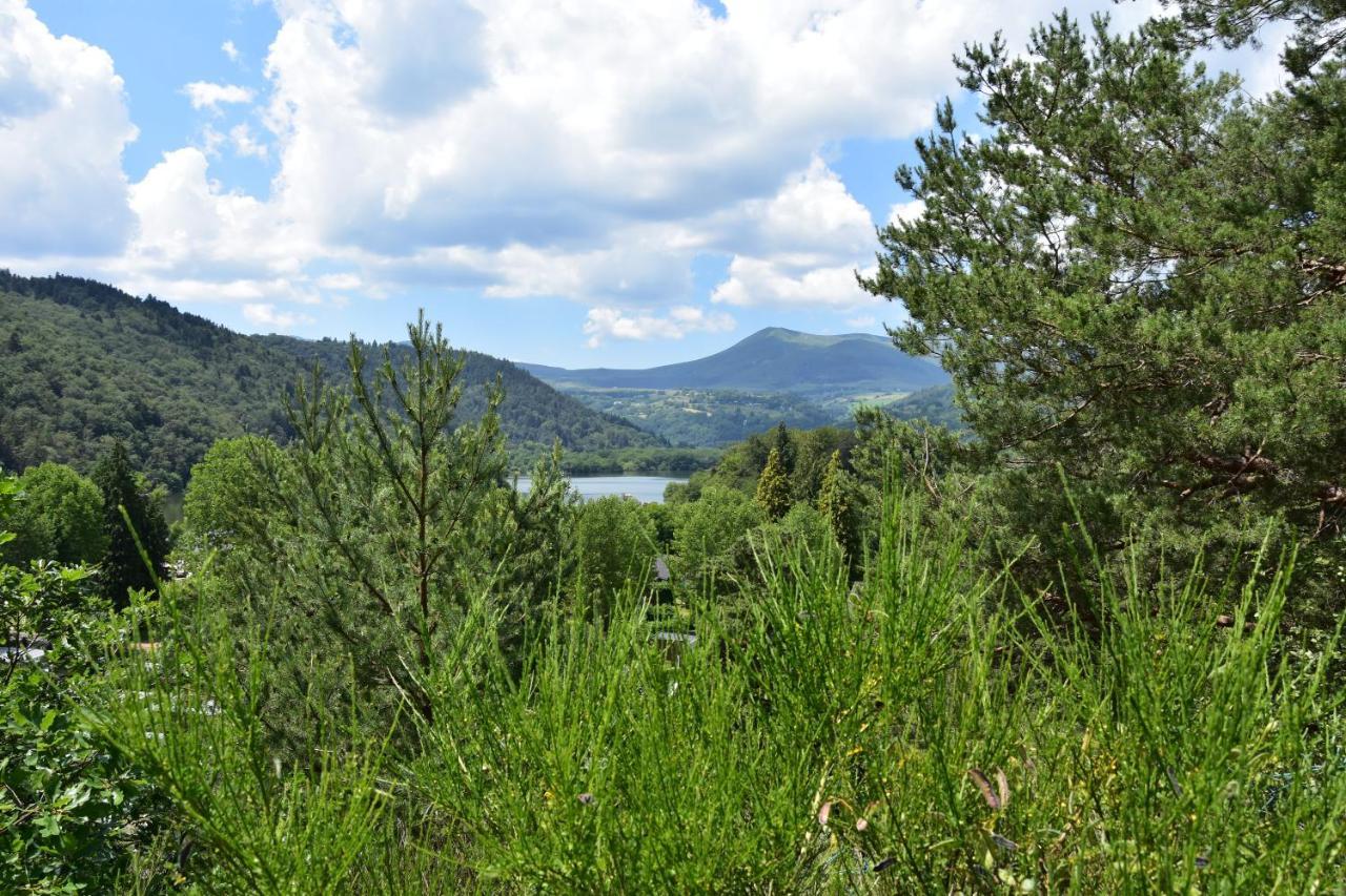 מורול Camping Domaine Du Lac Chambon מראה חיצוני תמונה